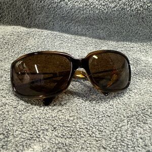 Stylish Brown Sunglasses Harley Davidson
